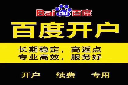 某行业巨头如何利用百度推广服务费提升业绩